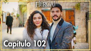 Hercai - Capítulo 102