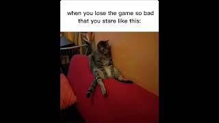 when you lose so bad/sad cat meme #trending #funny #memes #meme #viralvideo