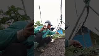 #petani mandiri