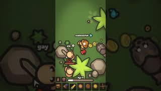 USA Be Like in Taming.io