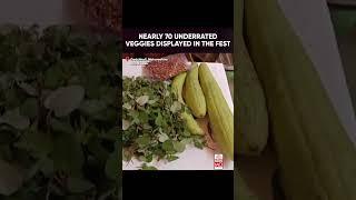 More than 70 Underrated Vegetables Displayed in Gadchiroli's Wild Vegetable Festival