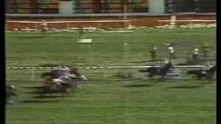 John Henry: "A Living Legend" - 1984 Arlington Million