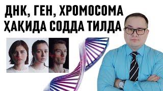 ДНК НИМА, ҚАЕРДА ЖОЙЛАШГАН, ҚАНДАЙ ТЕКШИРУВ ҚИЛИНАДИ, ГЕН, ХРОМОСОМА НИМА БАФУРЖА ИСЧАНОВ ДОКТОР
