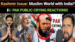 KASHMIR ISSUE: MUSLIM WORLD STANDS WITH INDIA? | PAK PUBLIC CRYING REACTIONS! | REACTION VIDEO