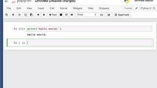 Running a Python 3 Script in a nanoHUB Jupyter Notebook