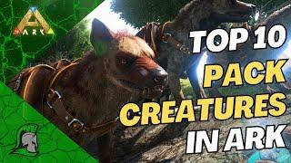 Top 10 PACK Dinos in Ark |  Ark: Survival Evolved