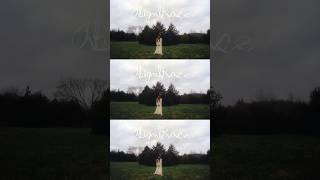 Tweet tweet️ | Through the Night | Abigail Rose #indieartist #singersongwriter #original #acoustic