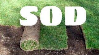 Ponds, waterfalls, fountains, sod, & artificial grass companies Hanover Pa - Ryan's Landscaping