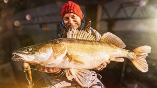 Zander suchen, finden, FANGEN! Mit Struktur zum Großfisch!