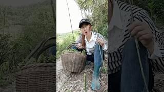 masteran burung memes viral funny moments #funnyvideo