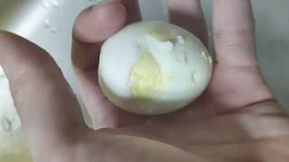 상한 삶은달걀 촉감놀이/a bad boiled egg/傷んだゆで卵/煮坏的鸡蛋