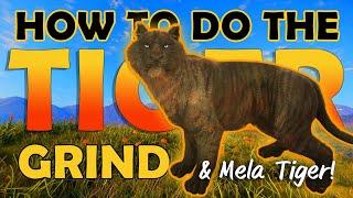 MELANISTIC TIGER & How to GRIND TIGERS (After the UPDATE)!!! - Call of the Wild