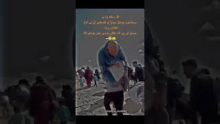 Ya Allah Palestine Ki help farma 