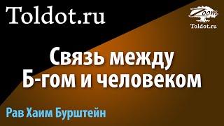 Глава Ваякэль-Пкудей. Учителя Мусара о связи между Б-гом и человеком. Рав Хаим Бурштейн