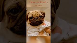 Men in Black S1: Surprised by a Dog Disguised as an Alien! #comedy #scifi
