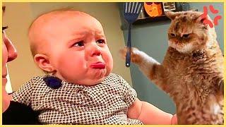 TOP Trending Baby Videos - 30 Minutes Funny Baby Video