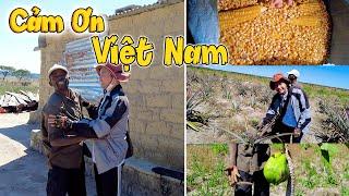 Không Có Việt Nam Thì Không Có Anh Của Ngày Hôm Nay! Bất Ngờ Quy Mô Khổng Lồ Của Anh Trai Bản Cũ!
