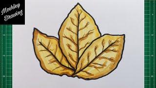 How to Draw a Tobacco Leaf