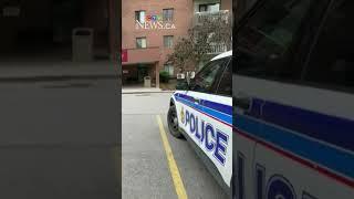 Ottawa woman killed in south-end femicide