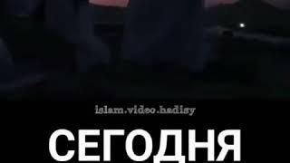 Сегодня особенный день