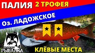 ПАЛИЯ ОБЫКНОВЕННАЯ 2 ТРОФЕЯ Озеро ЛАДОЖСКОЕ / ФАРМ  РУССКАЯ РЫБАЛКА 4  Russian Fishing 4  РР4