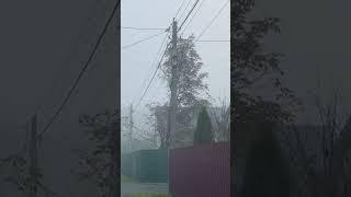 Прогулка в Тумане среди Леса#прогулка #туман #втумане #лес #загадочное