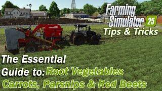 The Essential Guide to Carrots, Parsnip and Red Beets in Farming Simulator 25