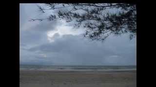 Calvin Chong Nature MV