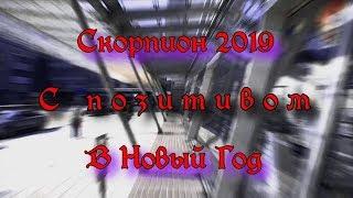 СКОРПИОН на 2019г от ОКЕАНЫ ТАРО "Что год грядущий нам готовит"