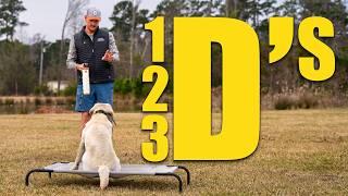 The Three D's of Place Training | Duck Dogs