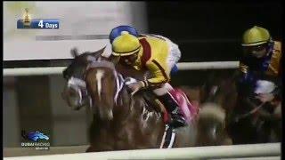 DUBAI WORLD CUP 2008 - CURLIN