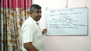 Organic and Inorganic Form of Nitrogen in Soil