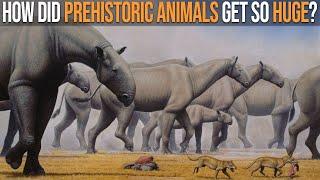 Why Were Prehistoric Animals Bigger Than Today’s Animals?