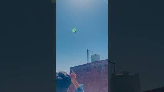 1 tawa  kite flying #trending #viral #shortvideo #flyingbigkites #punjabisong #basant