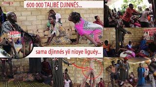 Karamba Dansokho  borom djinn yi l'enfant de Mbour 600.000 talibé djiinn ...