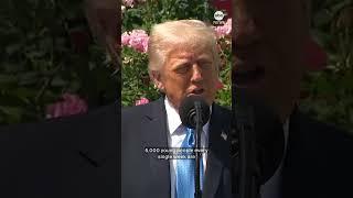 Trump says 'progress' made in Ukraine-Russia ceasefire talks after lengthy call with Putin
