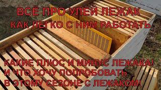 УЛЕЙ ЛЕЖАК КЛАССНЫЙ УЛЕЙ ВСЁ ПРО НЕГО лучший улей для стационара КАКИЕ ПЛАНЫ НА СЕЗОН️