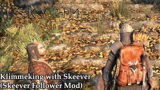 Skyrim AE - Klimmeking with Skeever (A.K.A. Skeever counts ALL of the "7000" Steps)