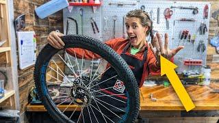 SHE SAID YES (to new bearings - DT Swiss 180 hub bearing replacement) | Syd Fixes Bikes