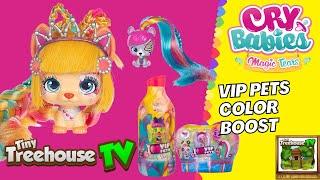 VIP PETS COLOR BOOST SERIES 3 AND VIP PETS COLOR BOOST MINI FANS SERIES 2 UNBOXING