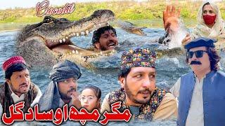 Magar Match (Crocodile) Ou Sada Gul New Comedy Video Khyber Vines