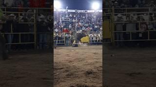 Es el único toro de USA en Rancho la Candelaria. TAQUICARDIO vs EDSON en Uriangato 22 Sept 2024