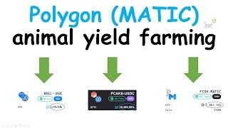 Polygon (matic) yield farming platforms review polywhale polyfox polygaj polycake polycat