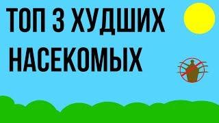 ТОП 3 ХУДШИХ НАСЕКОМЫХ В МИРЕ