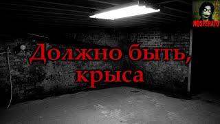 ДОЛЖНО БЫТЬ, КРЫСА. Страшные истории на ночь. Страшилки на ночь