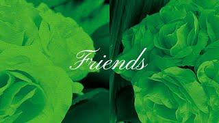 Samuel - Friends (official lyrics video)