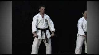 shotokan 8 basic techniques