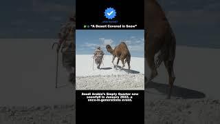 ️ “A Desert Covered in Snow” #DesertSnow #SaudiArabiaSnow #RareWeather #SnowInTheDesert #FactMagnet