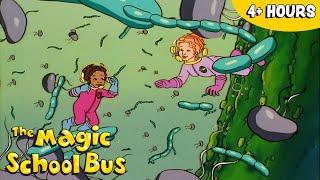 The Magic School Bus  Season 2 FULL EPISODES