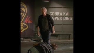 Terry Silver Beats Up Stingray - Cobra Kai S4-E8